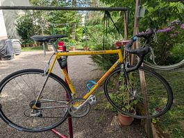 Martinello Rennrad Columbus Genius, Campagnolo 2×9, 56 cm