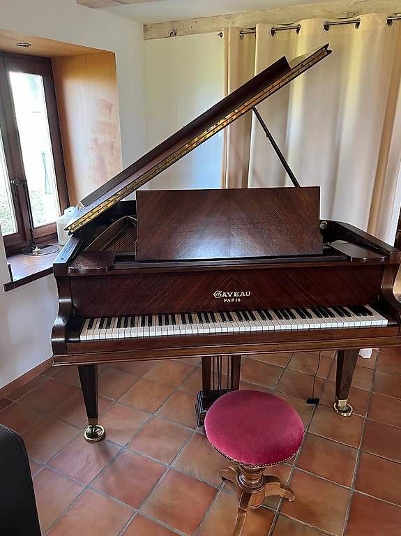Strumenti musicali: Piano à queue Gaveau - Soleils couchant – Usato da Hünenberg See venduto da Ninouck