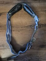 Longiergurt Shetty / Pony