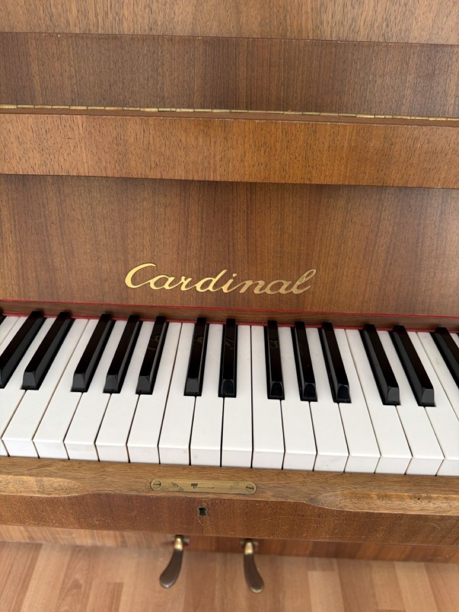 Cardinal Musikinstrumente: Klavier Cardinal – Gebraucht aus Horw von Barbara72