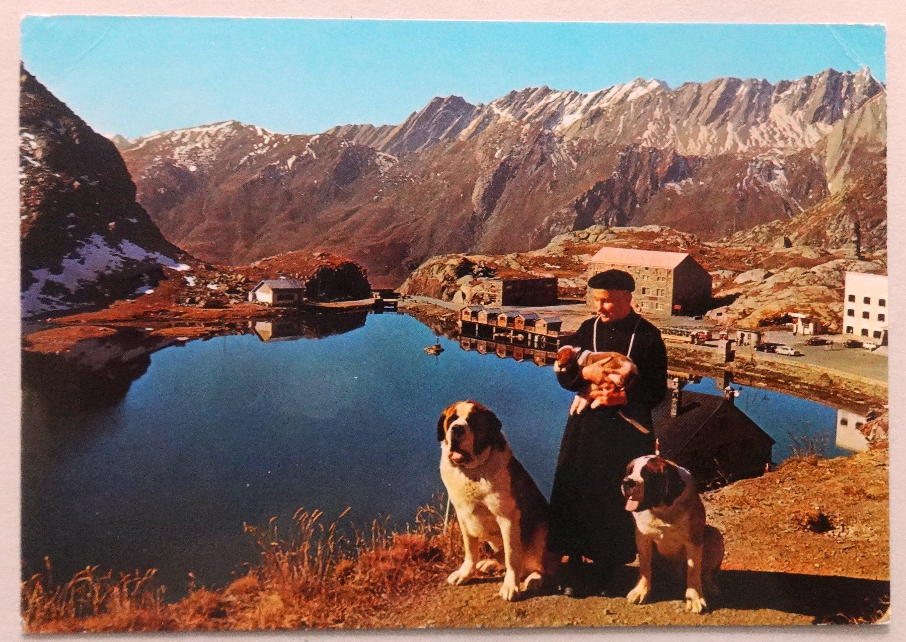 Cartoline postali: Grand Saint-Bernard, Moine et chiens du col – Difettoso da Fétigny venduto da Billy2miny