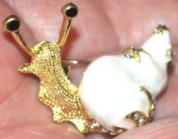 Brosche K-362 – Schnecke Strass und Muschel weiss