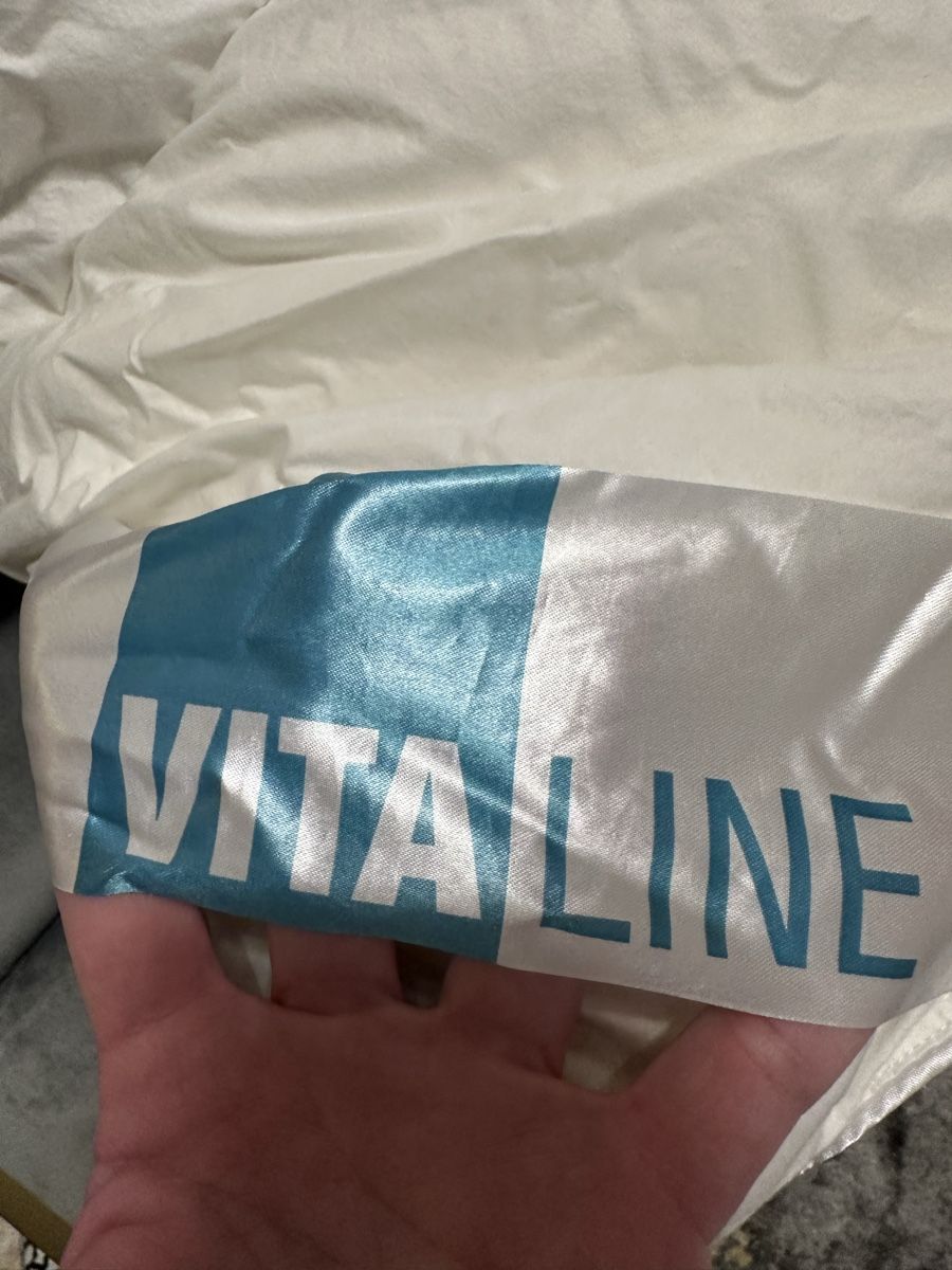 Coperte: Daunendecke und Kissen – Usato da Frümsen venduto da Swissline90 2