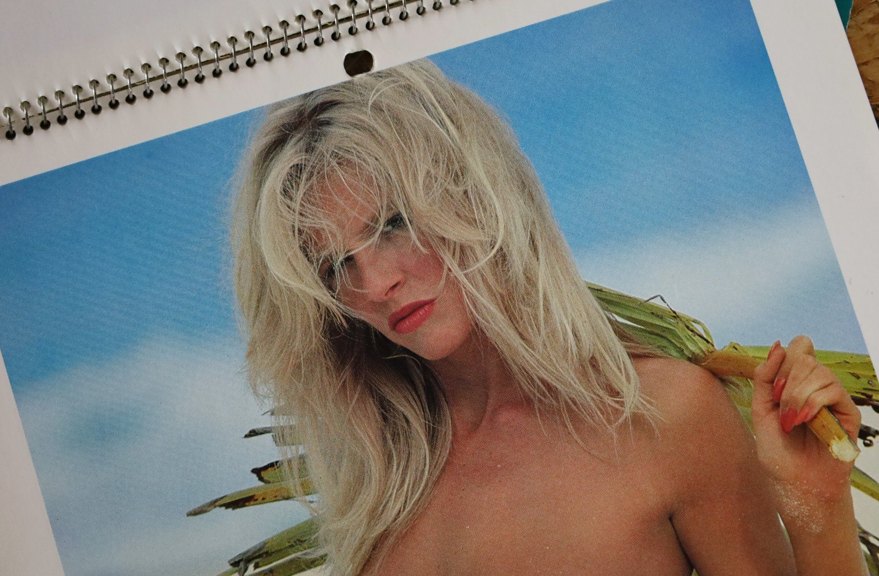 Playboy Calendari: PLAYBOY Kalender 1987 – Usato da Birrwil venduto da brandschatz_birrwil 5
