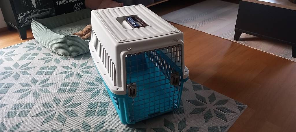 Gabbie, trasporto & Sicurezza: Hundebox – Usato da Aathal-Seegräben venduto da Reto1203