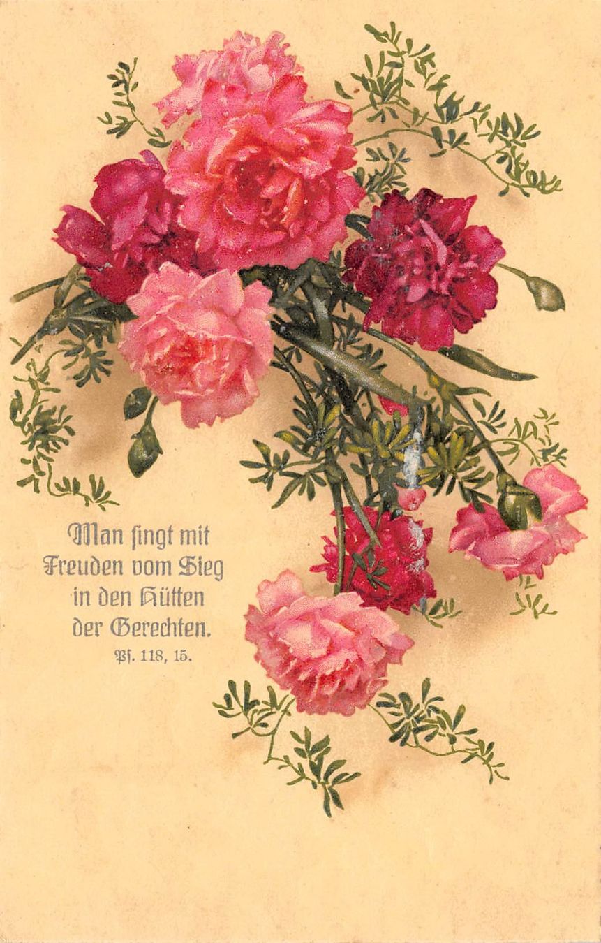 Cartoline postali: Nelken, Bibelspruch – Usato da Ottikon b.Kemptth. venduto da Neptun1974
