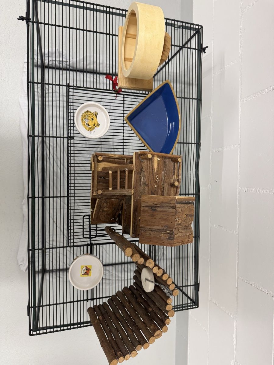 Terrario: Terrarium + Zubehör – Usato da Tagelswangen venduto da Isa036 2