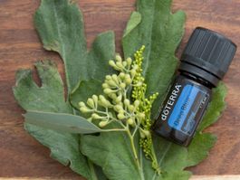 dōTERRA Deep Blue ätherisches Öl 5ml