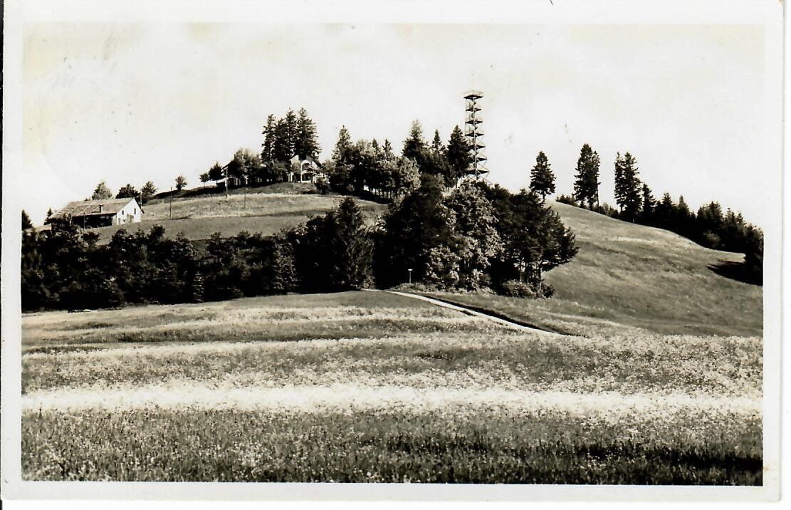 Ansichtskarten: Bachtel Kulm – Gebraucht aus Hochdorf von Ziegel-16