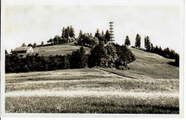 Bachtel Kulm
