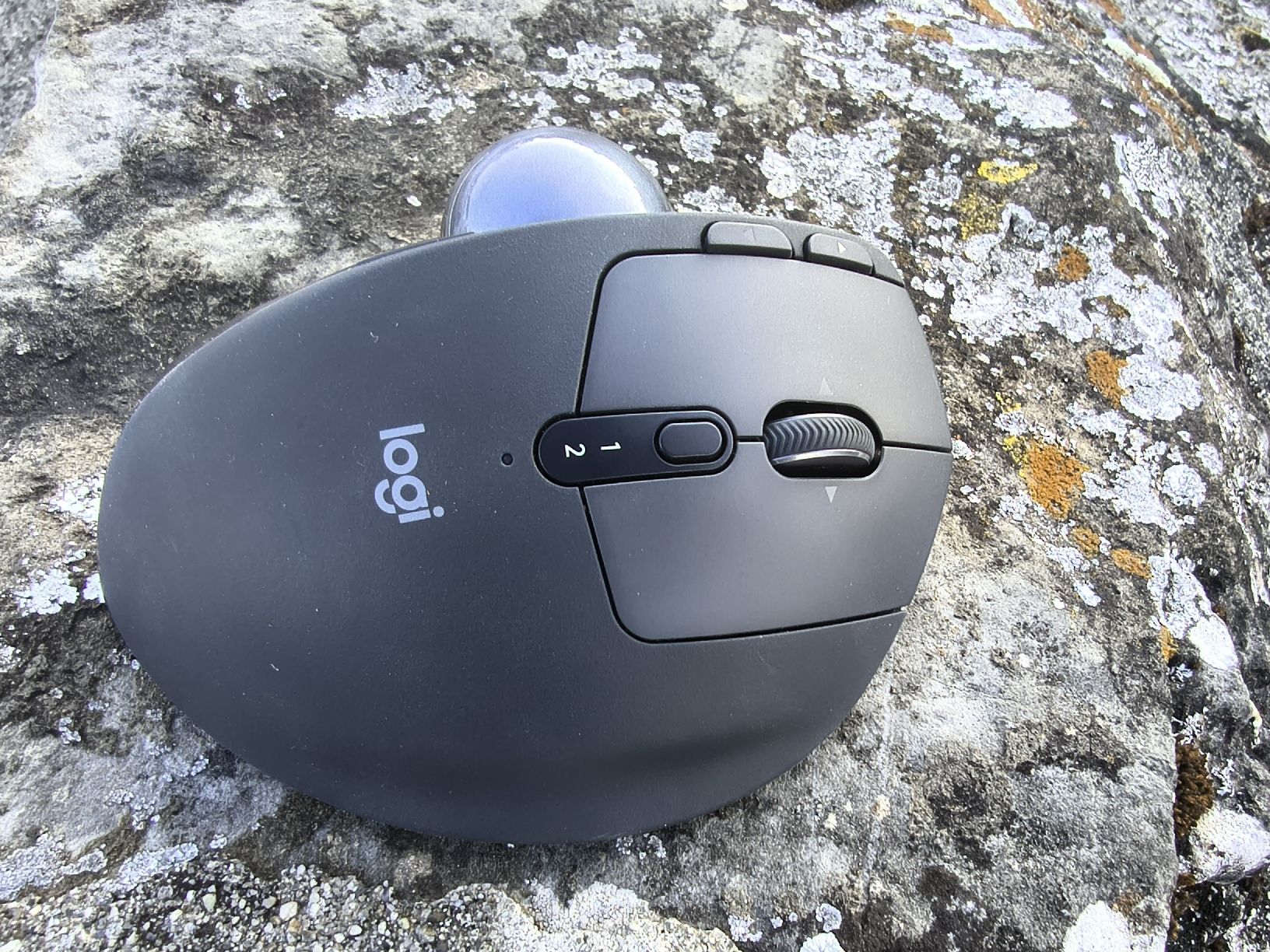 Logitech Mouse: Logitech MX Ergo trackball  – Usato da Chambesy venduto da mgVersion1