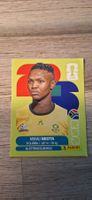 Panini FIFA WM 2026 RSA 19