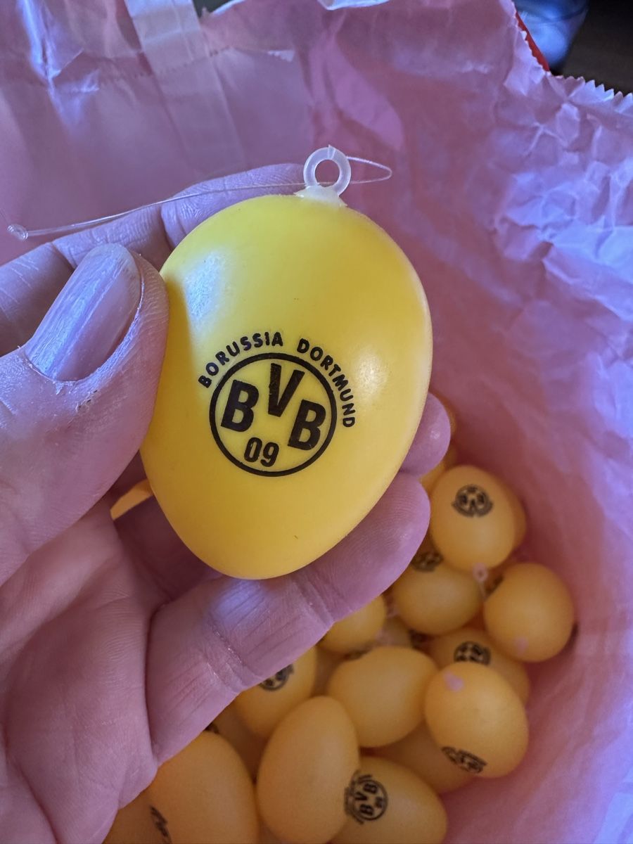Tutte le decorazioni: BVB Ostereier Kunststoff – Usato da Bern venduto da womiman 1