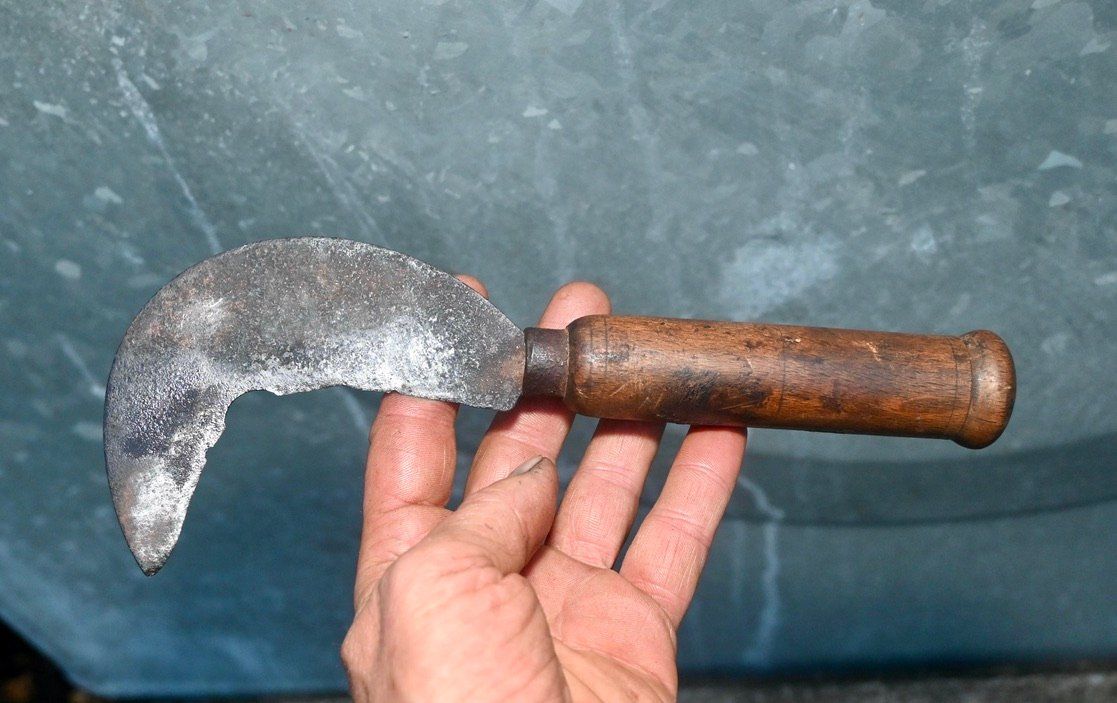 Tutti gli attrezzi: ANTIKE Handsichel Länge ca. 24cm – Usato da Pfaffhausen venduto da mono_rec