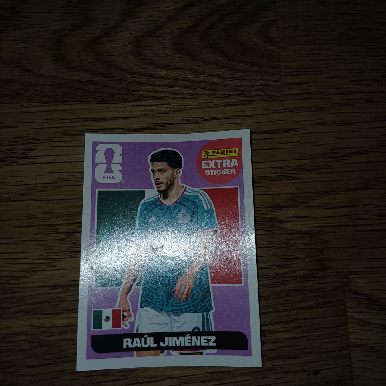 Panini Carte collezionabili: Panini – Usato da Aedermannsdorf venduto da holzkaefer