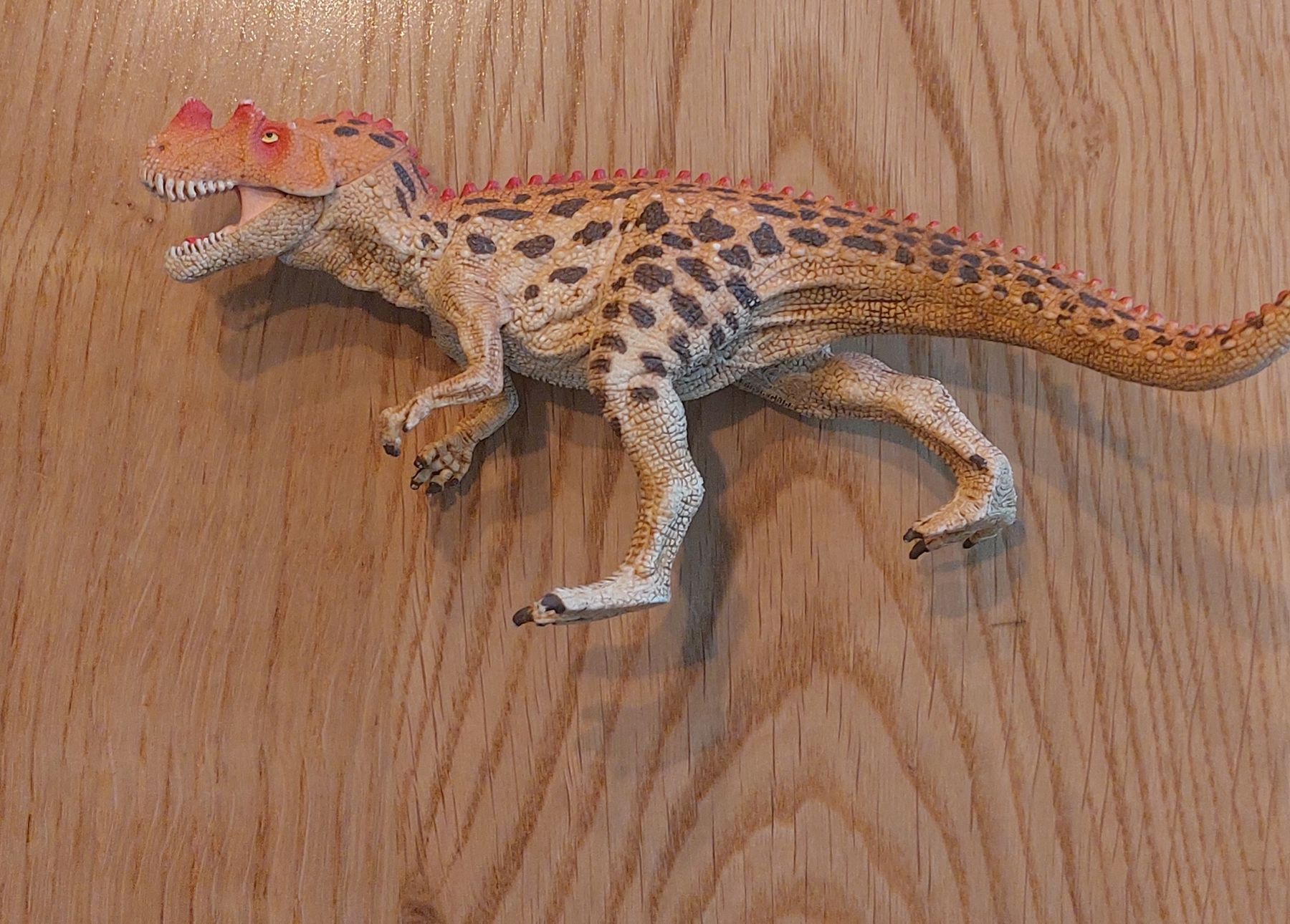 Schleich Spielzeuge: Schleich Dino Set 6 Stück – Gebraucht aus Kloten von Angihu 4
