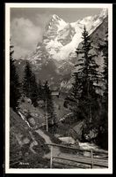 AK Mürren, Berg mit Gletscher, Weg, Brücke und Tannen