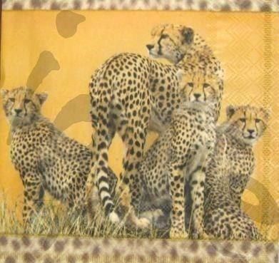 Tovaglioli: Serviette leoparden (t86) 2Stk. – Nuovo (secondo la descrizione) da Schlatt TG venduto da kreativ-atelier
