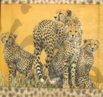 Serviette leoparden (t86) 2Stk.