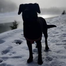 Profile image of jst_np6g