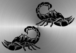 Fun Aufkleber Tuning Sticker Decal 543