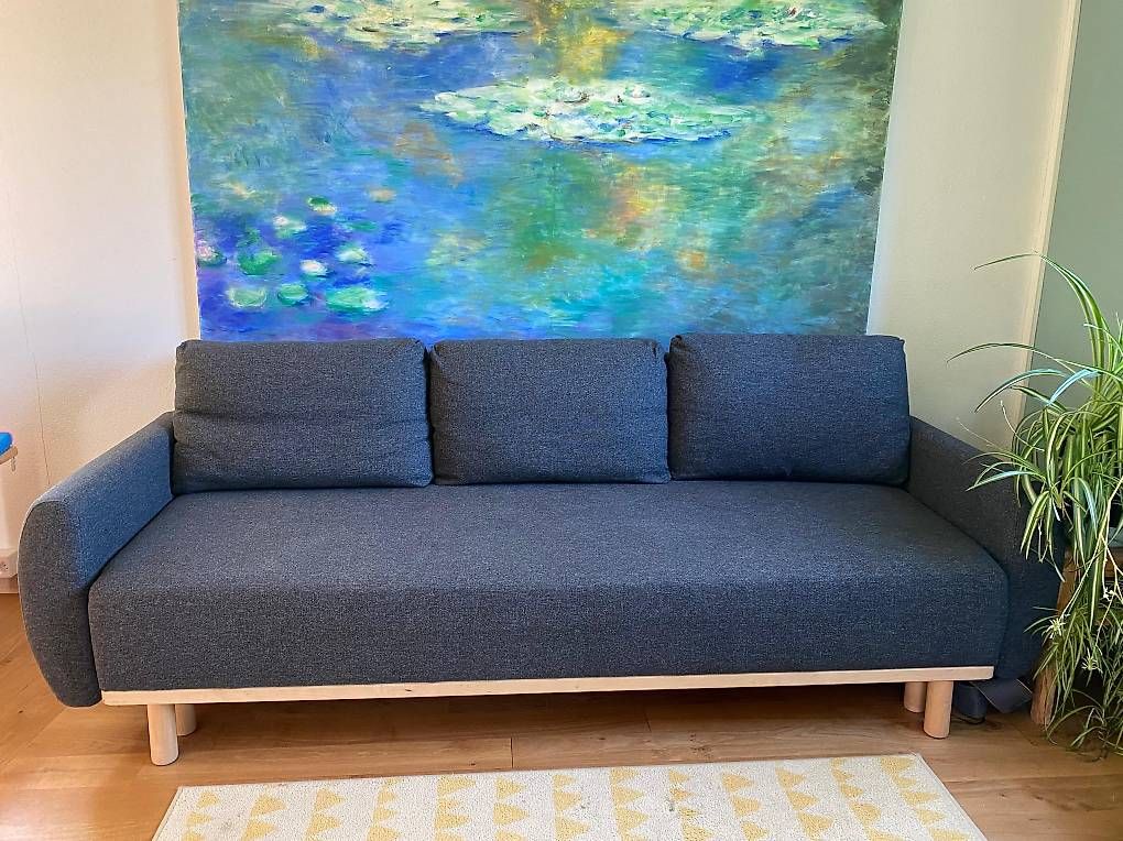 Divani: Bettsofa Ikea Grunnarp (Reserviert) – Usato da Liestal venduto da sorryChris 1