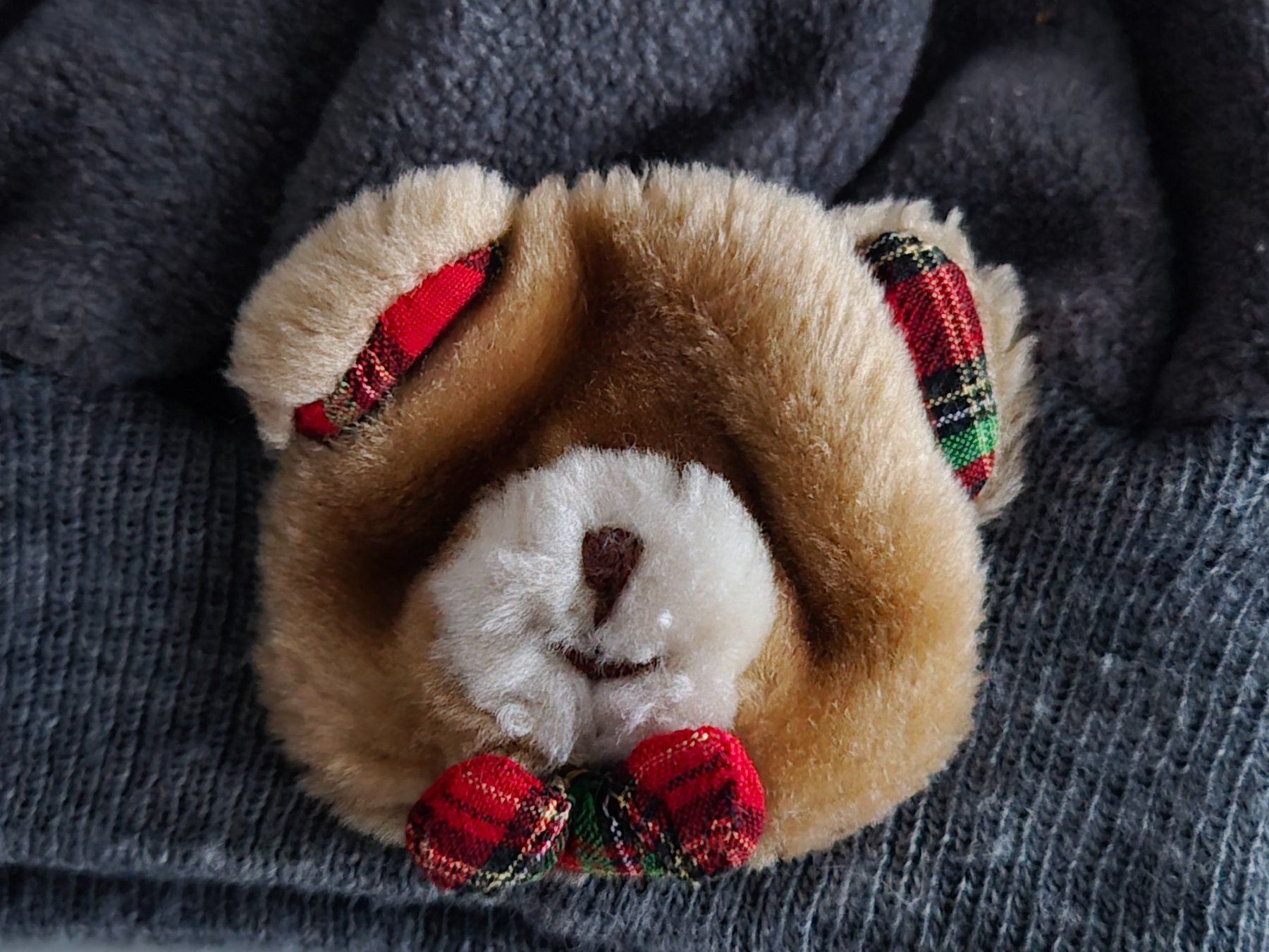 Autres vêtements garçon: Winterkappe mit Bärchen – D'occasion à Zürich par pau_y8mv 1