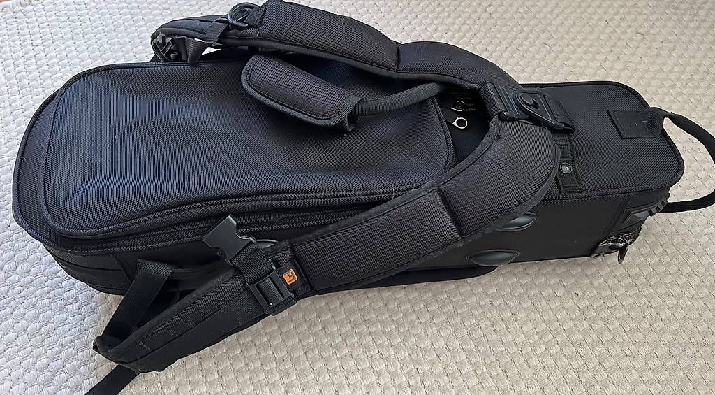 Valigie: Alt-Saxophon Koffer Rucksack  – Usato da Kilchberg ZH venduto da bin_sq5j 1