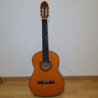 gitarre instrument
