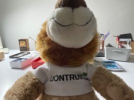 Süsser Plüschlöwe mit T-Shirt, guter Zustand 🦁