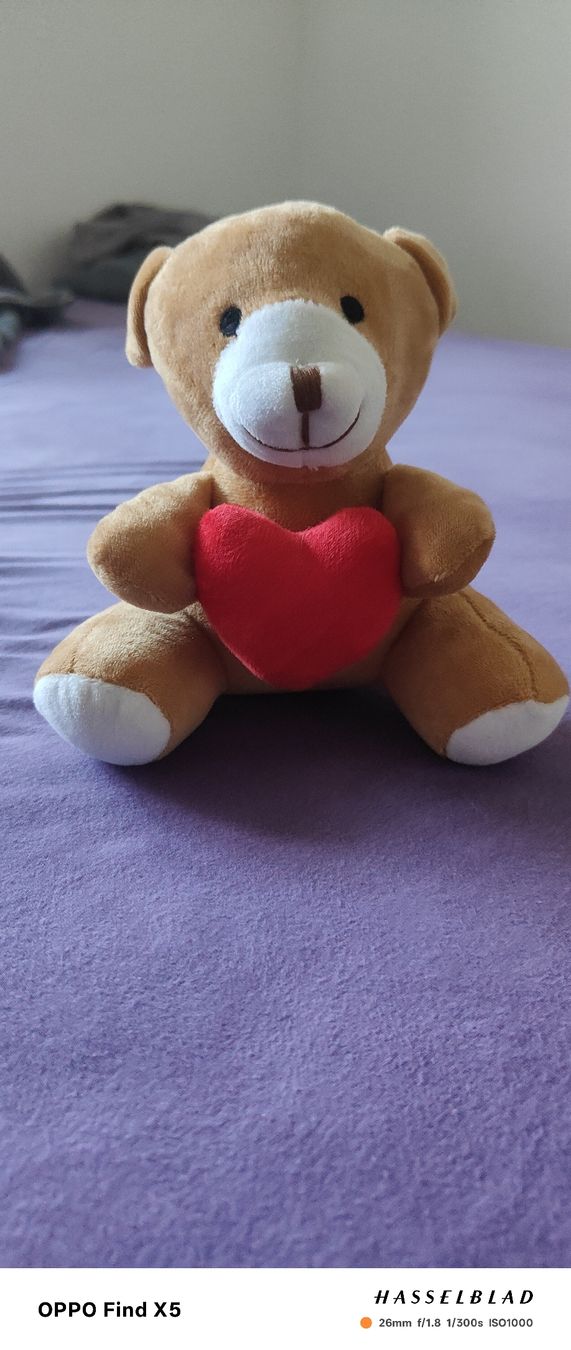 Spielzeuge: Smile Teddy mit Herz – Gebraucht aus Unterentfelden von igs_nj72 3