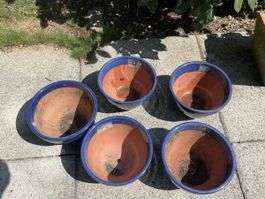 5er Set blaue Pflanztöpfe