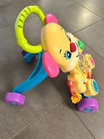 Baby Lauflernhilfe von Fisherprice