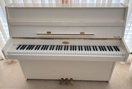 Kemble Klavier weiss Hochglanz | 85 Tasten | Made in England