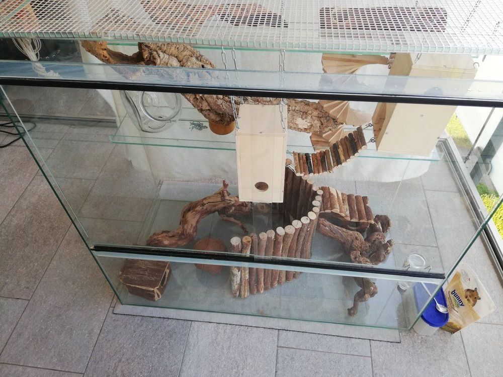 Briny River Kleintiergeschirr Set - Verstellbare Weste Mit Leine Für Eichhörnchen & Nager