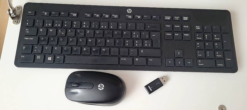 PC: Mini PC con tastiera e monitor – Usato da Tremona venduto da Swiss_M87 2