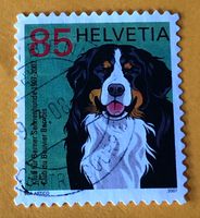Nr.1227 Berner Sennenhund GESTEMPELT Sondermarken 2007   