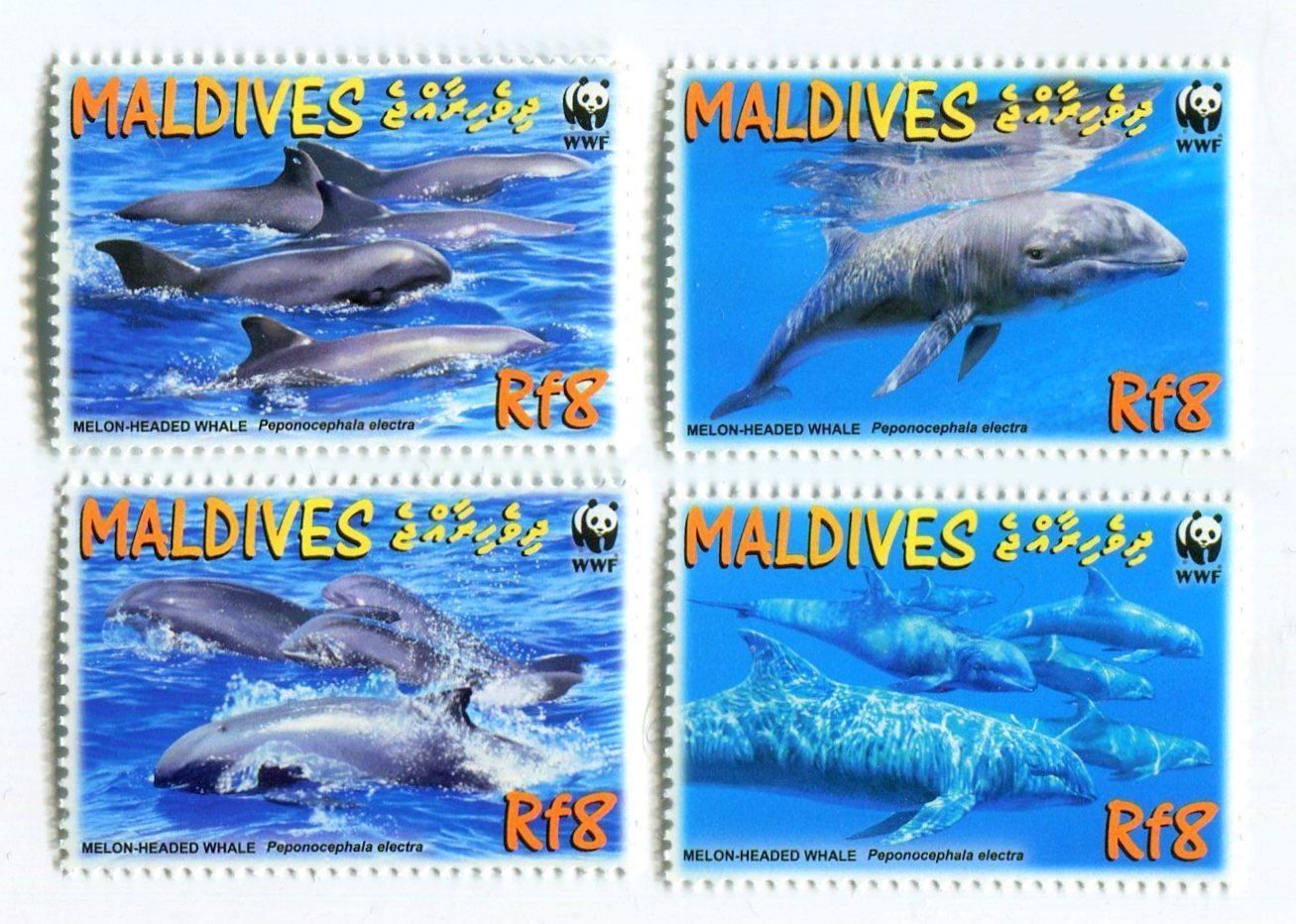 Alle Briefmarken: Briefmarken "Wale". Malediven – Neu und originalverpackt aus Basel von Butsch5