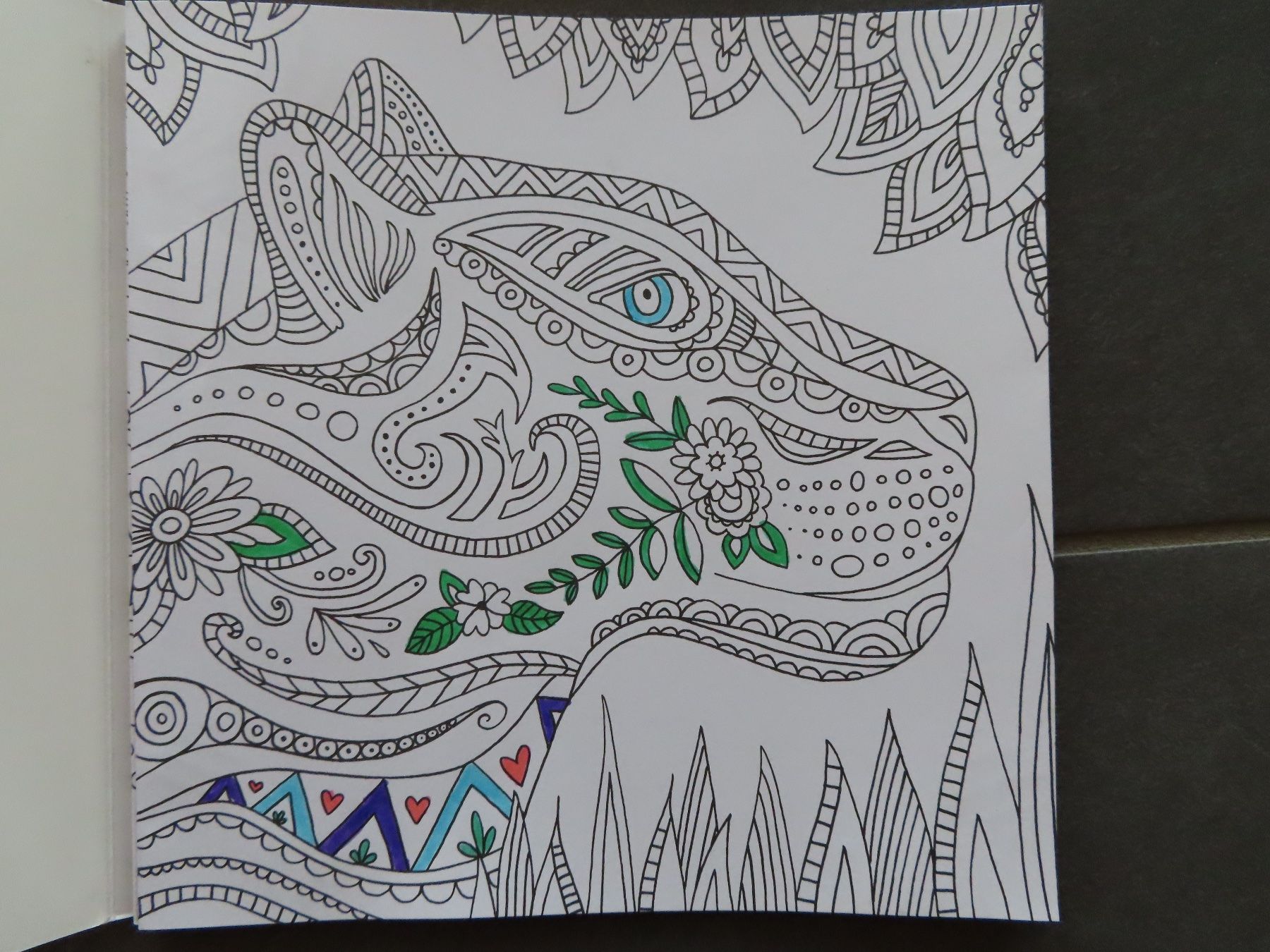 Bücher: Coloriages 100% filles – Gebraucht aus Wallenried von Asyano 3