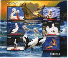 Block "Pelikan". Komoren
