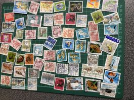 über 70 gebrauchten Schweizer Briefmarken (Helvetia) 