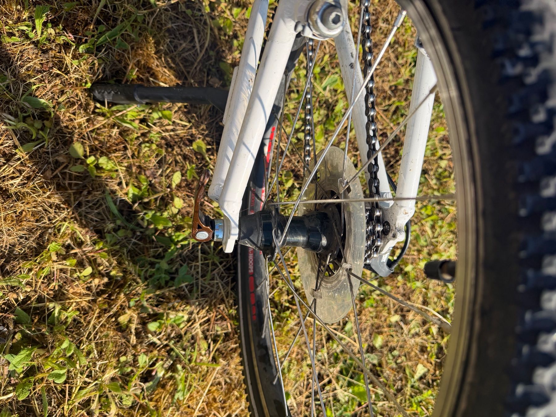 Woom Biciclette: WOOM 4 KINDERFAHRRAD – Usato da Schaffhausen venduto da ale_fhd8 7