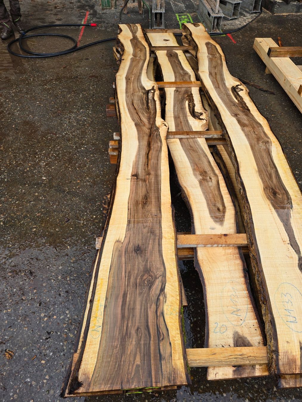 Articoli in legno: Nussbaumbrett Nr. N134 – Nuovo (secondo la descrizione) da Ramsei venduto da Waelchris