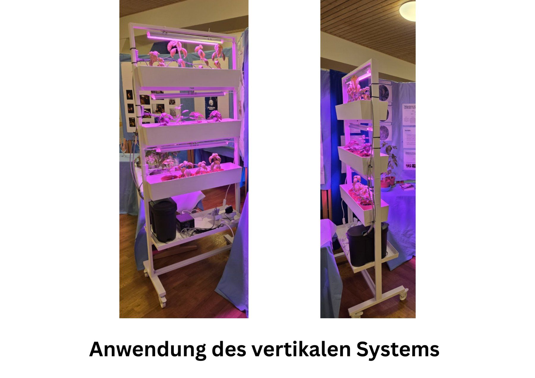 Box contenitori: Vertical Farming Komplettset - 2 Systeme + Zubehör – Nuovo (secondo la descrizione) da Lupsingen venduto da Supra88 7