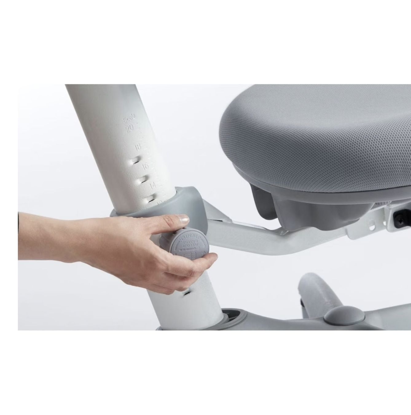 Flexa Chaises: Flexa Stuhl Verto Grau  – Neuf avec emballage d'origine à Niederurnen par covercase 4