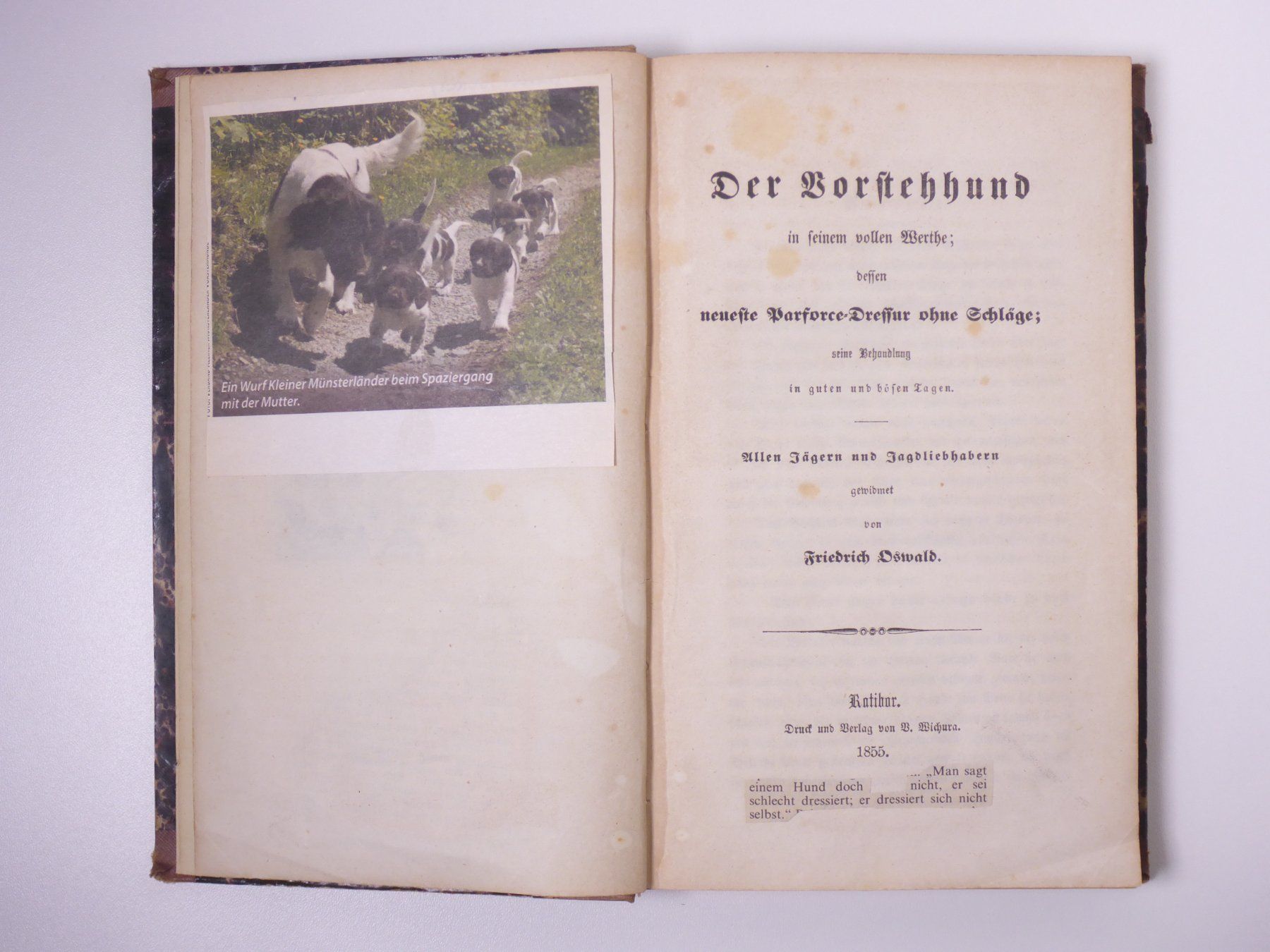 Libri: Friedrich Oswald: Der Vorstehhund. 1855. – Usato da Erschwil venduto da taglang