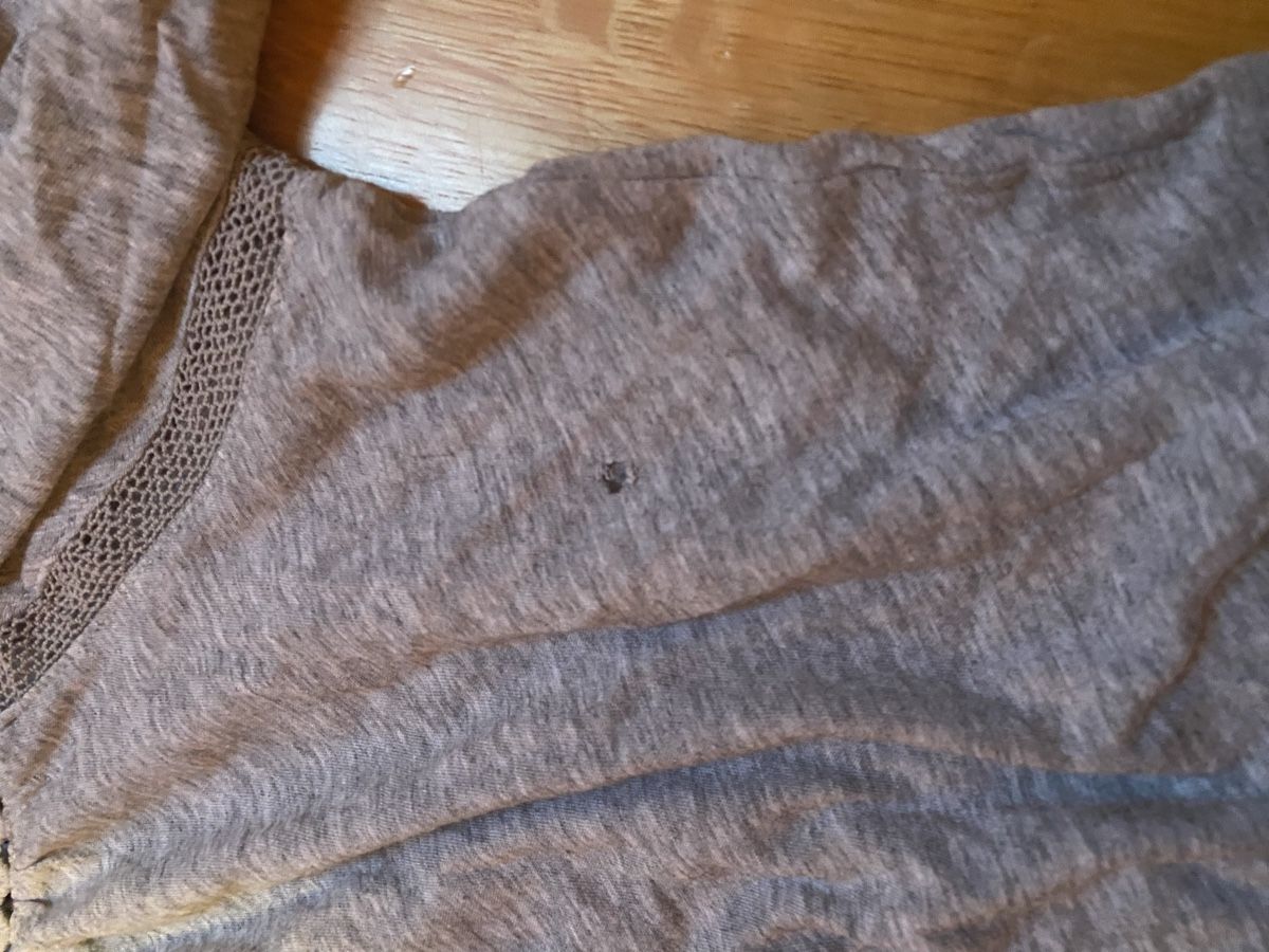 Gap T-shirt: T-shirt GAP gris M – Usato da Epagny venduto da nie_n5yb 1
