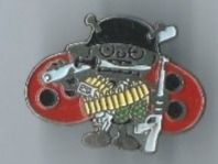Placchette & Badge: Blick Käfer, PIN – Usato da Zürich venduto da t24_de