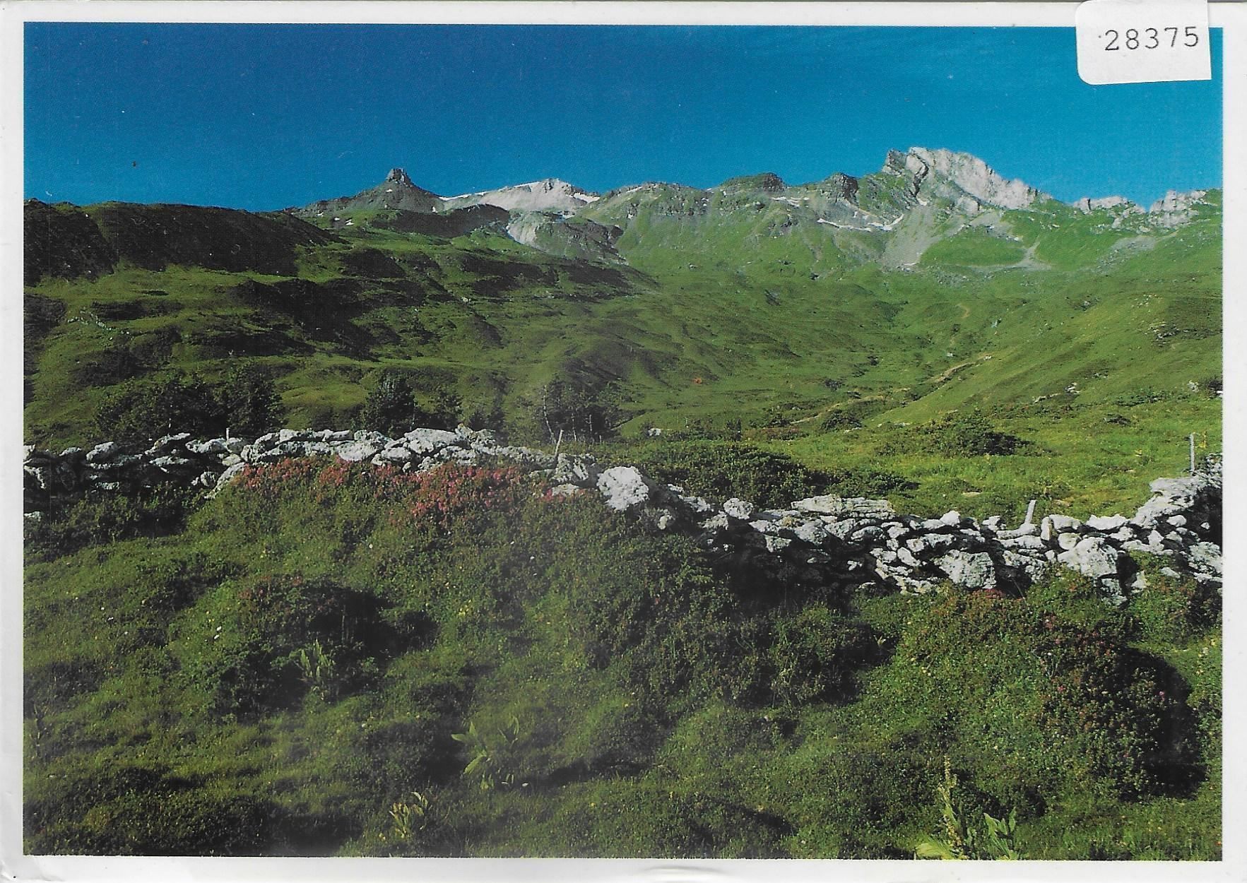 Cartoline postali: Flumserberg - Auf der Alp – Usato da Ettingen venduto da Kartenplanet