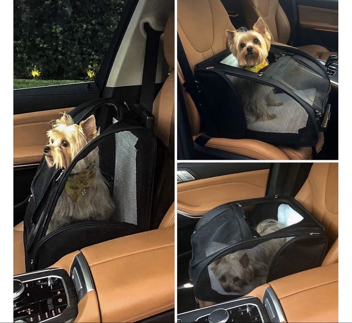 Taschen: Kopeks Backpack with wheels for Pets – Gebraucht aus Herrliberg von Tubalp 4